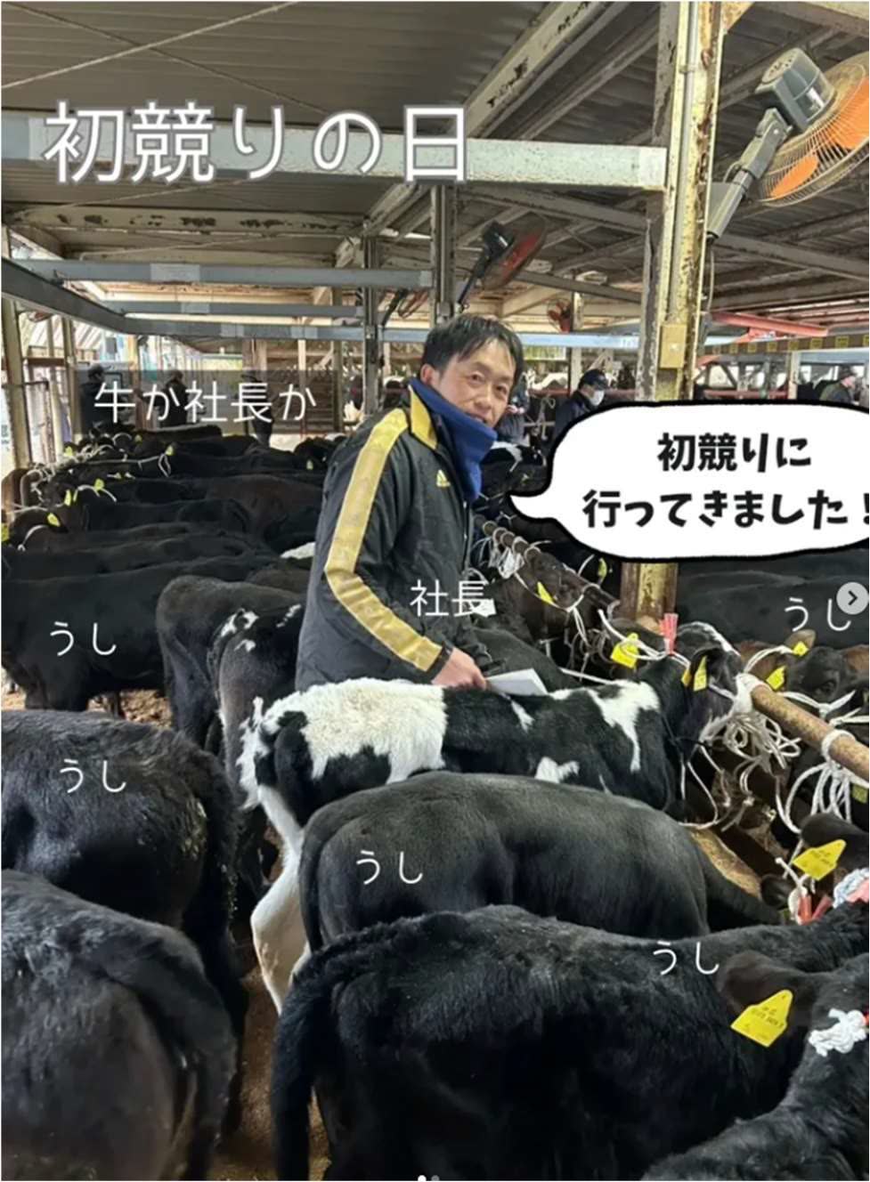 初競りの日にたくさんの元気な牛たちに囲まれて目利きを行う長男の松林義博社長
